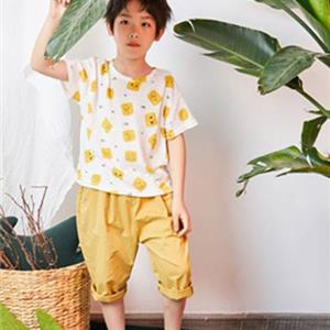 DCKIDS童装诚邀您的加盟！