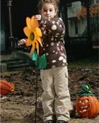 心芭贝童装产品图片