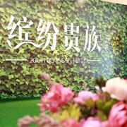缤纷贵族——2014小狮尼可NICKIE童装春夏发布会精彩演绎