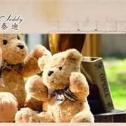 精典泰迪小公主与小王子的魔幻世界现场