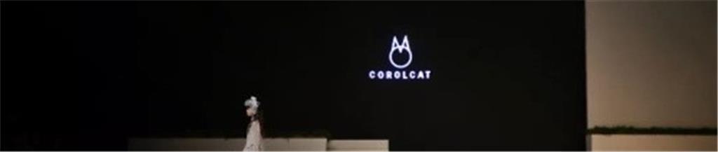 猫王青少年装品牌