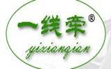 一线牵婴童装