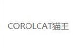 猫王青少年装